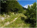 Planina Polog - Tolminski Kuk